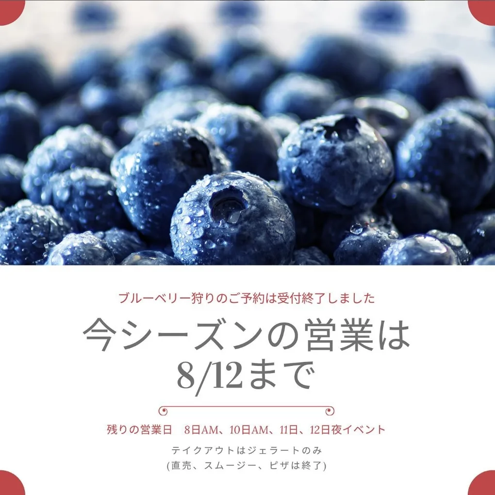 2024年8月 | BLUEBERRY BASE MOKA
