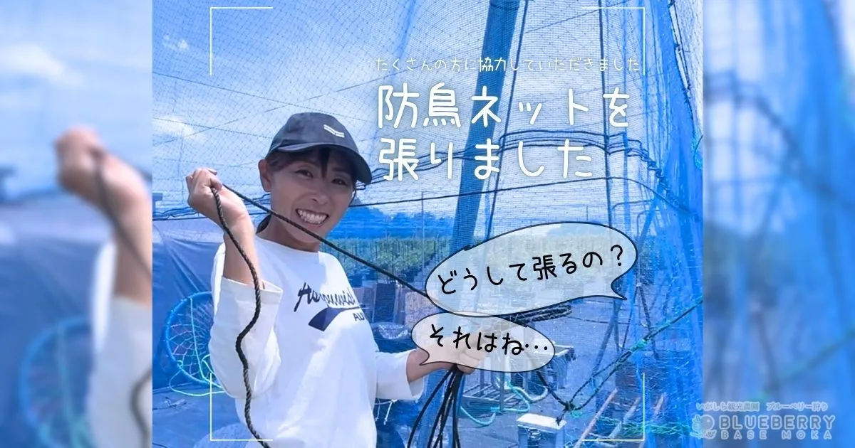 2025年5月 | BLUEBERRY BASE MOKA