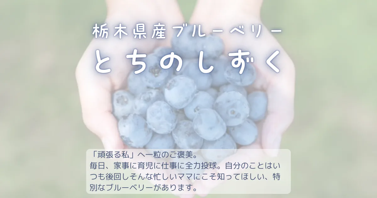 2026年1月 | BLUEBERRY BASE MOKA